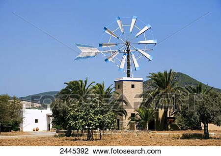 Palm trees around windmill, Ibiza, Balearic Islands, Spain View Large Photo Image Stock Image - Palm trees around windmill, Ibiza, Balearic Islands, Spain . Fotosearch