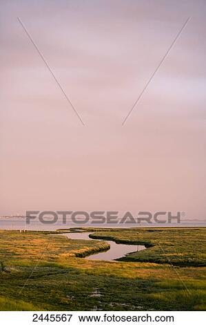 Stock Photo - Panoramic view of landscape, Spiekeroog, Lower Saxony, Germany . Fotosearch