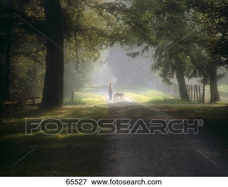 Park, man, dog leisure time, walk tree way woodland path, relax View Large Photo Image Stock Photo - Park, man, dog leisure time, walk tree way woodland path, relax . Fotosearch