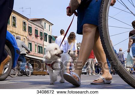 Pedestrians at Corso del Popolo, Chioggia, Italy View Large Photo Image Stock Image - Pedestrians at Corso del Popolo, Chioggia, Italy . Fotosearch