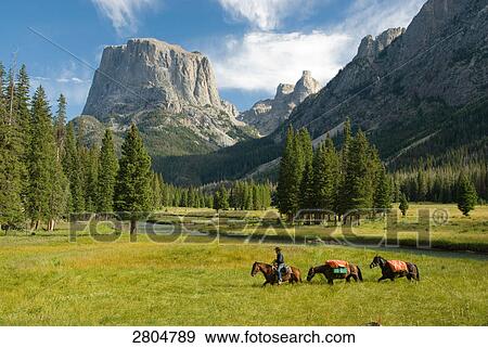 Person riding horse with mountain in background, Wind River Range, Wyoming, USA View Large Photo Image Stock Photo - Person riding horse with mountain in background, Wind River Range, Wyoming, USA . Fotosearch