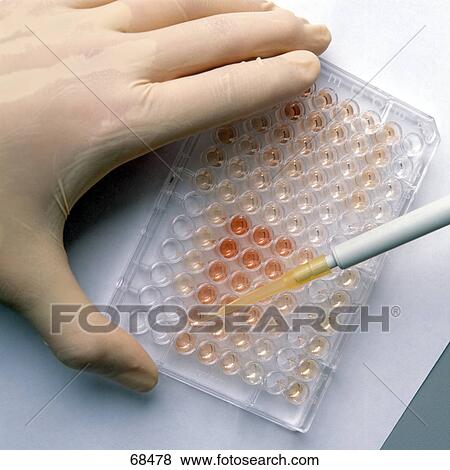 Pipette adding liquid to test tubes View Large Photo Image Stock Photo - Pipette adding liquid to test tubes . Fotosearch