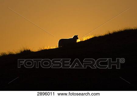 Powys, Mid Wales, UK View Large Photo Image Stock Image - Powys, Mid Wales, UK . Fotosearch