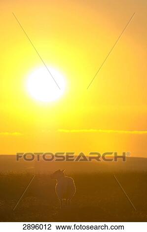 Powys, Mid Wales, UK View Large Photo Image Stock Image - Powys, Mid Wales, UK . Fotosearch