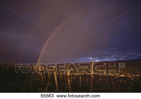 Rainbow above vineyard, Ebringen, Kaiserstuhl, Breisgau-Hochschwarzwald, Baden-Wurttemberg, Germany View Large Photo Image Stock Image - Rainbow above vineyard, Ebringen, Kaiserstuhl, Breisgau-Hochschwarzwald, Baden-Wurttemberg, Germany . Fotosearch