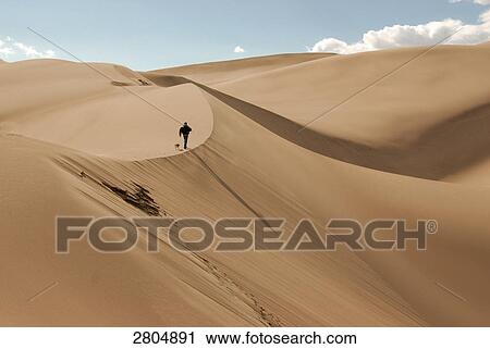 Rear view of man walking in sand dune, Great Sand Dunes National Park, Colorado, USA View Large Photo Image Stock Image - Rear view of man walking in sand dune, Great Sand Dunes National Park, Colorado, USA . Fotosearch