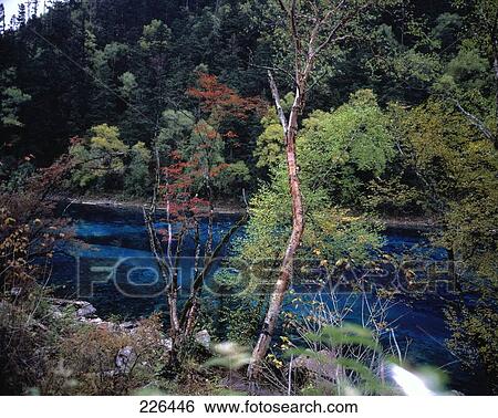 Stock Photograph - River flowing through forest, China . Fotosearch