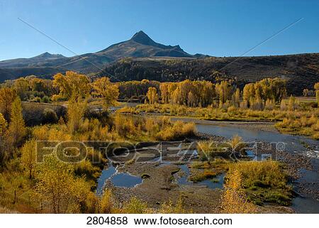 River flowing through forest, Mount Zirkel Wilderness, Routt National Forest, Colorado, USA View Large Photo Image Stock Photo - River flowing through forest, Mount Zirkel Wilderness, Routt National Forest, Colorado, USA . Fotosearch