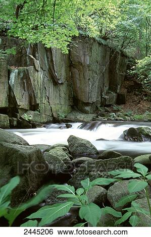 Stock Photograph - River flowing through forest, Thale, Harz, Saxony-Anhalt, Germany . Fotosearch