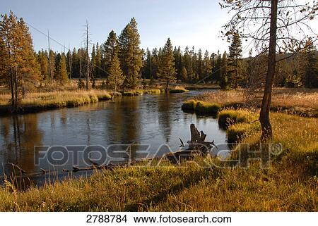 River flowing through landscape, Yellowstone National Park, Wyoming, USA View Large Photo Image Picture - River flowing through landscape, Yellowstone National Park, Wyoming, USA . Fotosearch