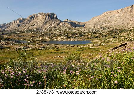 Stock Photo - River flowing through landscape, Wyoming, USA . Fotosearch
