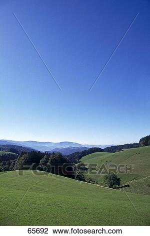 Stock Image - Rolling landscape under blue sky, St. Maergen, Black Forest, Germany . Fotosearch