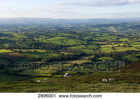 Stock Image - Rural landscape, Great Britain, Wales, Powys . Fotosearch