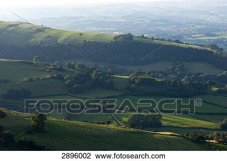 Rural landscape, Great Britain, Wales, Powys View Large Photo Image Stock Image - Rural landscape, Great Britain, Wales, Powys . Fotosearch
