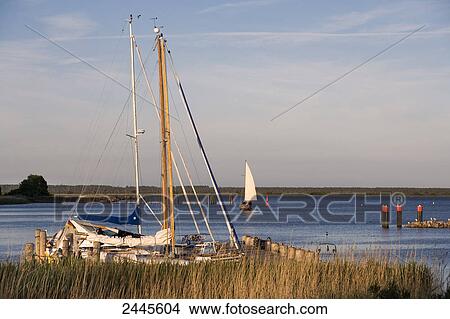 Picture - Sailboats in sea, Hiddensee, Rugen, Mecklenburg-West Pomerania, Germany . Fotosearch