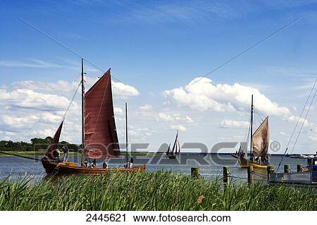 Stock Image - Sailboats in sea, Wustrow, Mecklenburg-West Pomerania, Germany . Fotosearch