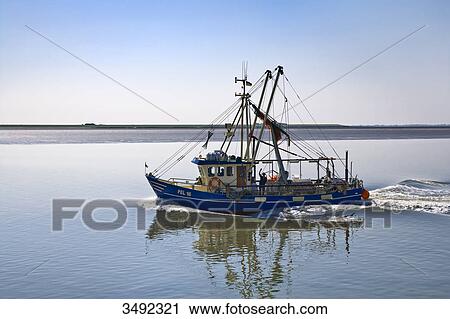 Stock Image - Shrimp boat on the Wadden Sea, Schleswig-Holstein, Germany, elevated view . Fotosearch