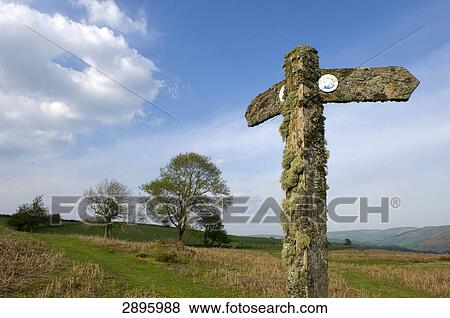 Stock Photo - Signpost, Wye Valley, Great Britain, Wales, Powys . Fotosearch