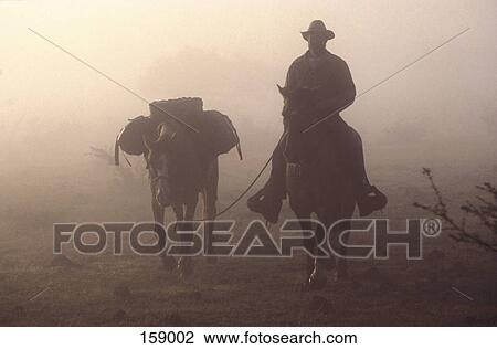 Silhouette of person riding horse View Large Photo Image Stock Image - Silhouette of person riding horse . Fotosearch