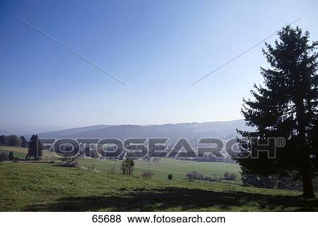 Stock Photo - Silhouette of tree on landscape, Bernau, Black Forest, Baden-Wuerttemberg, Germany . Fotosearch