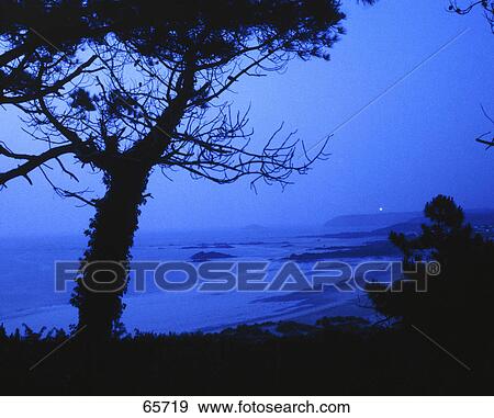 Silhouette tree on beach at dusk, Cap Frehel, Cote D' Emeraude, Brittany, France View Large Photo Image Stock Photo - Silhouette tree on beach at dusk, Cap Frehel, Cote D' Emeraude, Brittany, France . Fotosearch