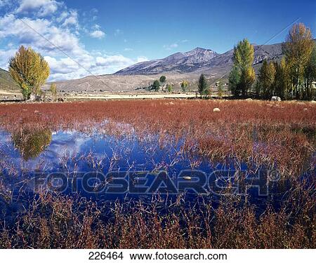 Picture - Sky reflected in marshland, China . Fotosearch