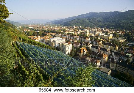 Sloppy vineyard and houses in valley, Breisgau, Black Forest, Freiburg Im Breisgau, Baden-Wuerttemberg, Germany View Large Photo Image Picture - Sloppy vineyard and houses in valley, Breisgau, Black Forest, Freiburg Im Breisgau, Baden-Wuerttemberg, Germany . Fotosearch