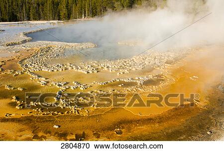Stock Image - Steam emitting from natural geyser, Yellowstone National Park, Montana, USA . Fotosearch