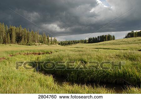 Stock Image - Storm clouds over field, New Mexico, USA . Fotosearch