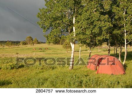 Tent in field, New Mexico, USA View Large Photo Image Stock Photo - Tent in field, New Mexico, USA . Fotosearch