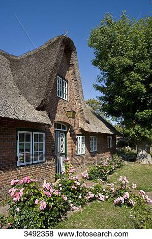 Stock Photo - Thatched-roof house in Keitum, Sylt, Germany . Fotosearch