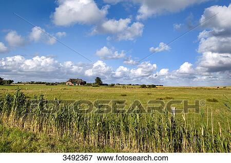 Thatched-roof house in Morsum, Sylt, Germany View Large Photo Image Stock Photo - Thatched-roof house in Morsum, Sylt, Germany . Fotosearch