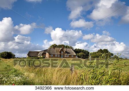 Thatched-roof house in Morsum, Sylt, Germany View Large Photo Image Stock Photograph - Thatched-roof house in Morsum, Sylt, Germany . Fotosearch