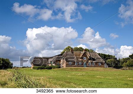 Thatched-roof house in Morsum, Sylt, Germany View Large Photo Image Stock Photography - Thatched-roof house in Morsum, Sylt, Germany . Fotosearch