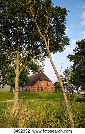Thatched-roof house in Nordstrand, Schleswig-Holstein, Germany View Large Photo Image Stock Image - Thatched-roof house in Nordstrand, Schleswig-Holstein, Germany . Fotosearch