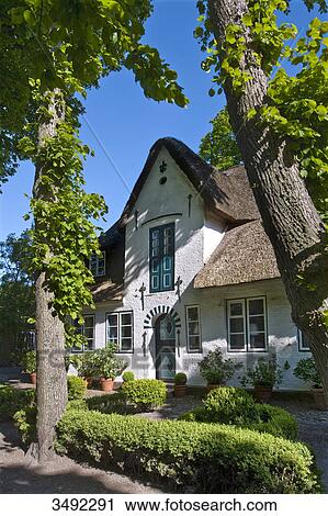 Stock Image - Thatched-roof house, Nieblum, Föhr, Nordfriesland, Germany . Fotosearch