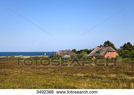 Stock Photo - Thatched-roof houses in Wenningstedt-Braderup, Sylt, Germany . Fotosearch