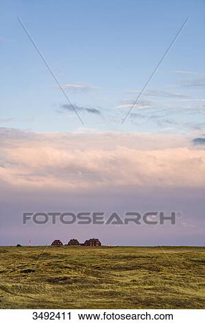 Stock Image - Thatched-roof houses in the background, Ellenbogen, Sylt, Germany . Fotosearch