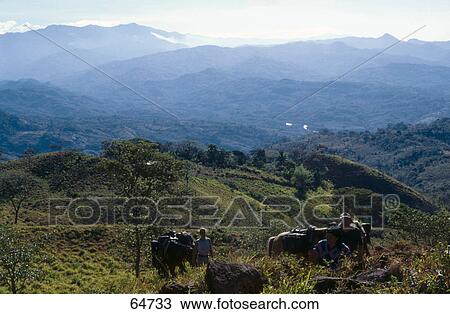 Stock Image - Three people with horses on mountain, Panama . Fotosearch