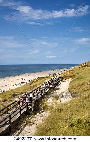 Tourists on a wooden footbridge on dunes, Wenningstedt-Braderup, Sylt, Germany, elevated view View Large Photo Image Stock Photo - Tourists on a wooden footbridge on dunes, Wenningstedt-Braderup, Sylt, Germany, elevated view . Fotosearch