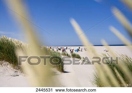 Tourists on beach, Germany View Large Photo Image Stock Image - Tourists on beach, Germany . Fotosearch