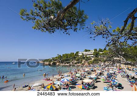 Tourists on beach, Portinatx, Ibiza, Balearic Islands, Spain View Large Photo Image Stock Image - Tourists on beach, Portinatx, Ibiza, Balearic Islands, Spain . Fotosearch