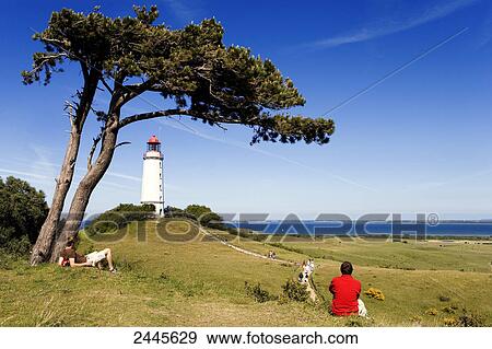 Stock Photo - Tourists sitting in field looking at lighthouse, lighthouse, Dornbusch Lighthouse, Hiddensee, Rugen, Mecklenburg-West Pomerania, Germany . Fotosearch