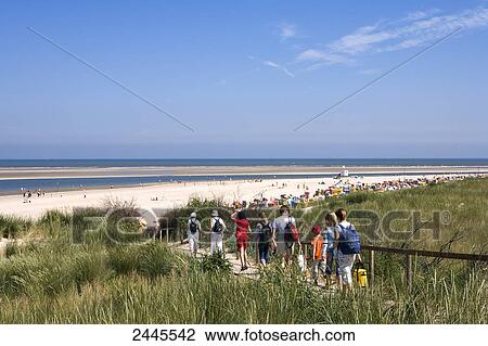 Tourists waking on boardwalk towards beach, Langeoog, Lower Saxony, Germany View Large Photo Image Stock Image - Tourists waking on boardwalk towards beach, Langeoog, Lower Saxony, Germany . Fotosearch