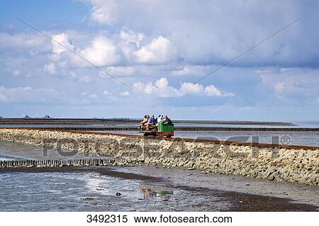 Stock Photography - Train on the Lorendamm, Nordstrandischmoor, Schleswig-Holstein, Germany . Fotosearch