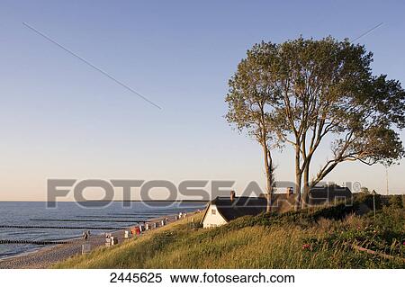 Tree and house at coast, Germany View Large Photo Image Stock Photography - Tree and house at coast, Germany . Fotosearch