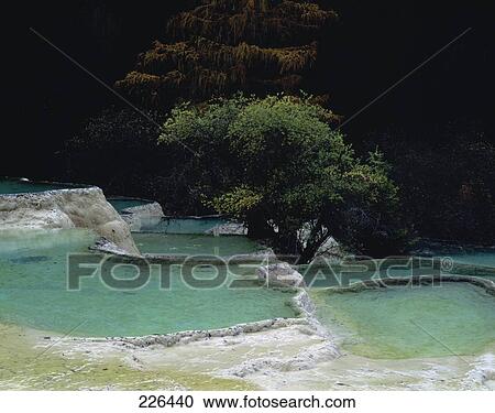 Stock Image - Trees at hot water springs on hill, China . Fotosearch
