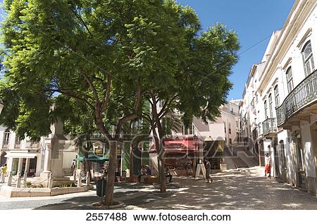 Trees in front of buildings, Lagos, Algarve, Portugal View Large Photo Image Stock Photo - Trees in front of buildings, Lagos, Algarve, Portugal . Fotosearch