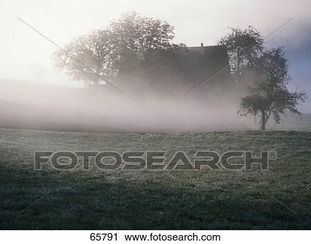 Stock Image - Trees in front of farmhouse in field, Black Forest, Germany . Fotosearch