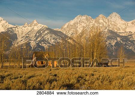 Picture - Trees in front of house in field, Grand Teton, Grand Teton National Park, Wyoming, USA . Fotosearch